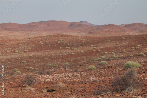 Desert landscape in the palmwag region, Damaraland, Namibia, Africa photo