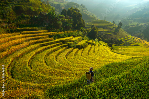 Bright morning of rice terraces in Mu cang chai,Yenbai,Vietnam. photo