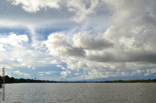 Rainforest Sky photo