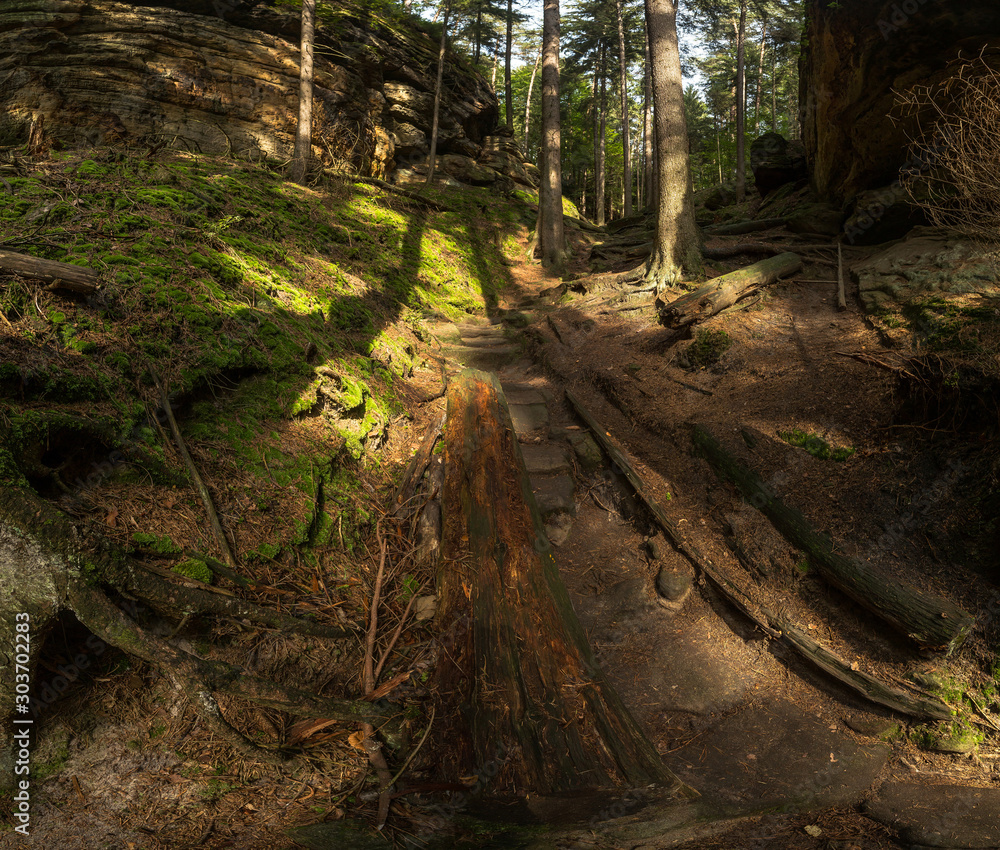 gorge in the forest in the czech republic gorge in the forest in the czech republic