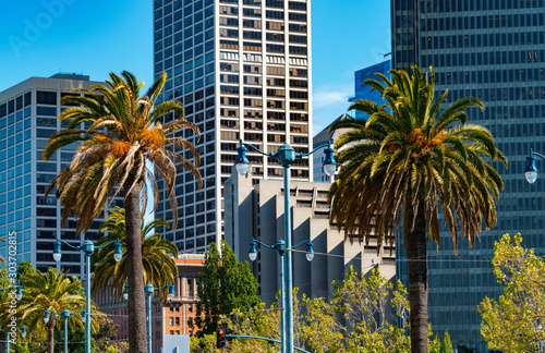 Wallpaper Mural Downtown San Francisco skyline buildings and skyscrapers Torontodigital.ca