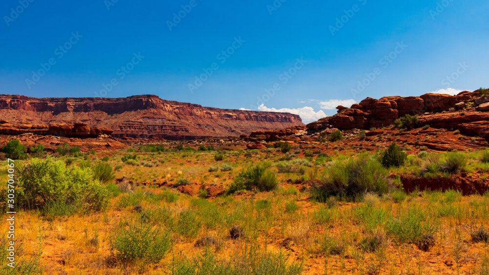 Canyonlands National Park, Needles District, Utah Canyonlands National Park, Needles District, Utah