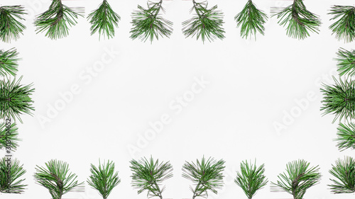 Frame made of of pine branches isolated on white background 