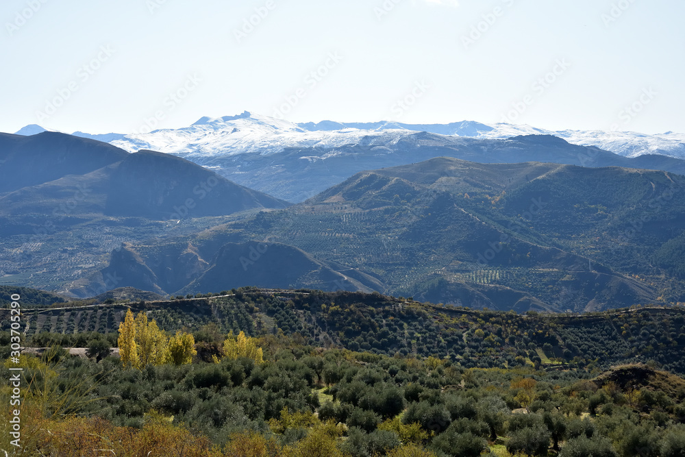 Valleys and mountains with various types of trees in a natural park of Granada with Sierra Nevada in the background