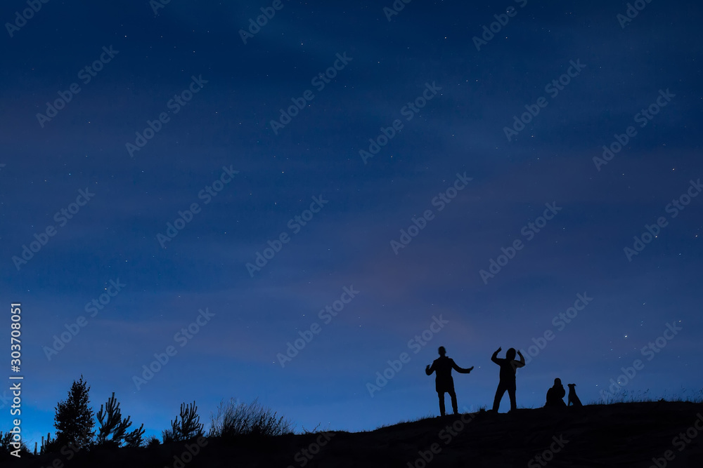silhouettes of people on a hill under a starry sky