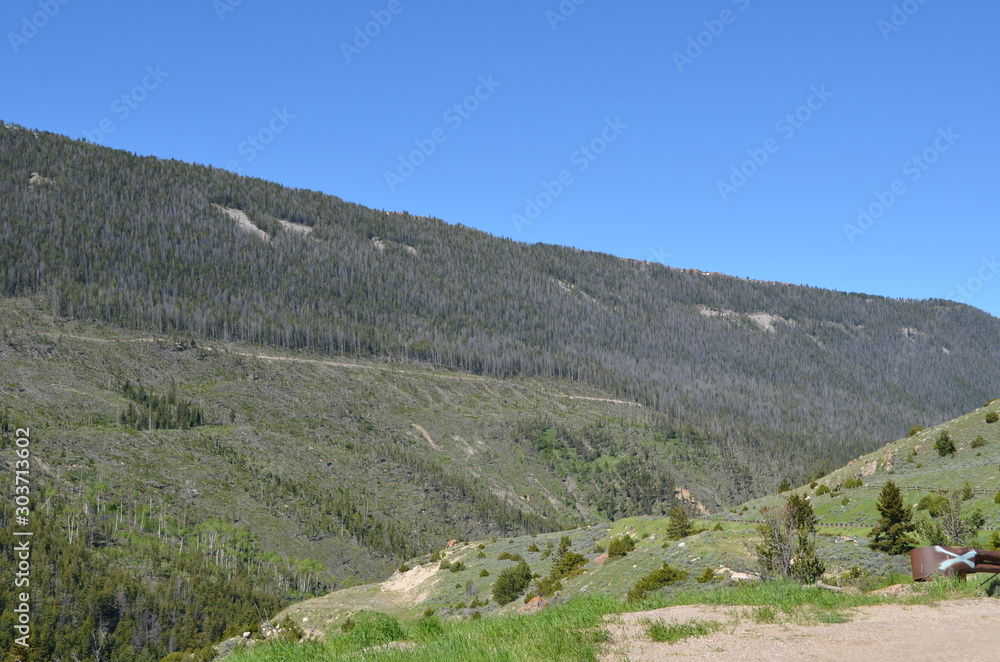 Late Spring in Wyoming: Shell Canyon and Highway Switchback in the Bighorn Mountains Late Spring in Wyoming: Shell Canyon and Highway Switchback in the Bighorn Mountains