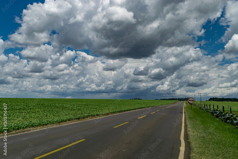 Amazing agricultural landscape of soy bean plantation near a road with a dramatic sky at Tibagi - Parana - Brazil. Green ripening soybean field. Amazing agricultural landscape of soy bean plantation near a road with a dramatic sky at Tibagi - Parana - Brazil. Green ripening soybean field.