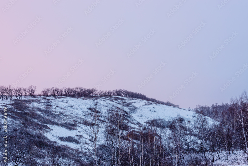 picturesque view of snow-covered field with trees at winter day picturesque view of snow-covered field with trees at winter day