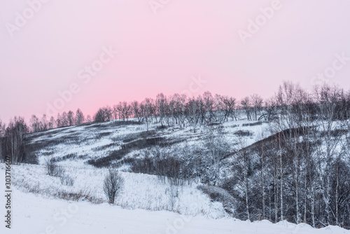 picturesque view of snow-covered field with trees at winter day   © photollurg