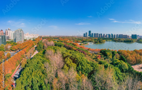Aerial aerial photographof of the new century park in Pudong New Area  Shanghai  China