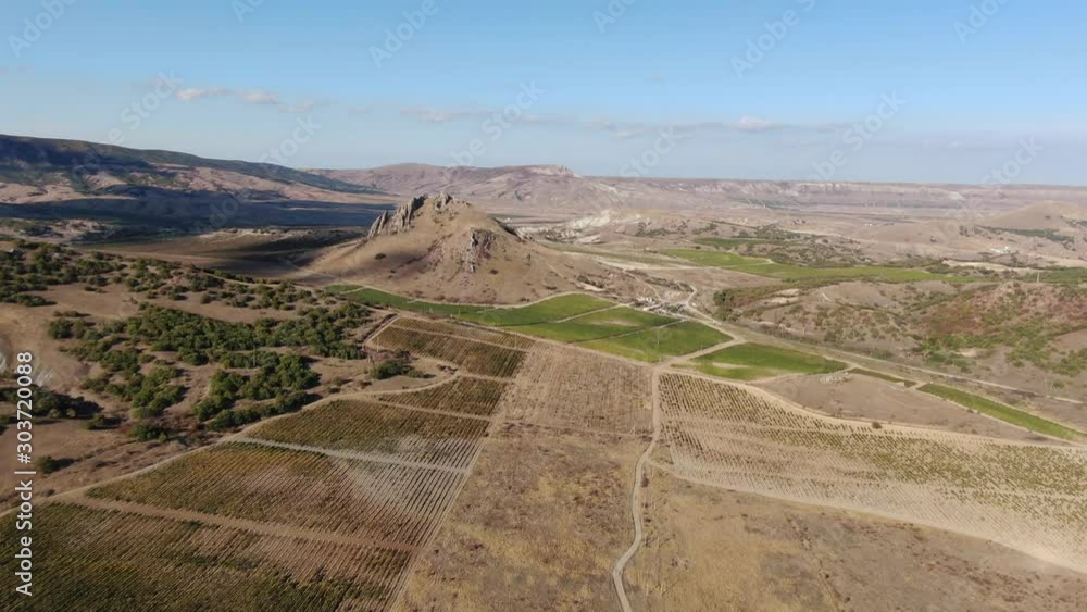 AERIAL CRIMEA 2019 NOVEMBER flight over vineyards among mountains and hills on a sunny autumn day AERIAL CRIMEA 2019 NOVEMBER flight over vineyards among mountains and hills on a sunny autumn day