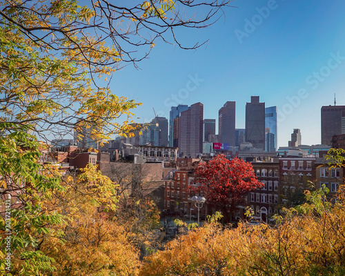 Boston Foliage and Skyline © eddiegrobinsonphoto