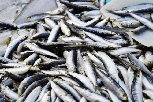 Fresh sardines for sale at a fish market in Marseille, France