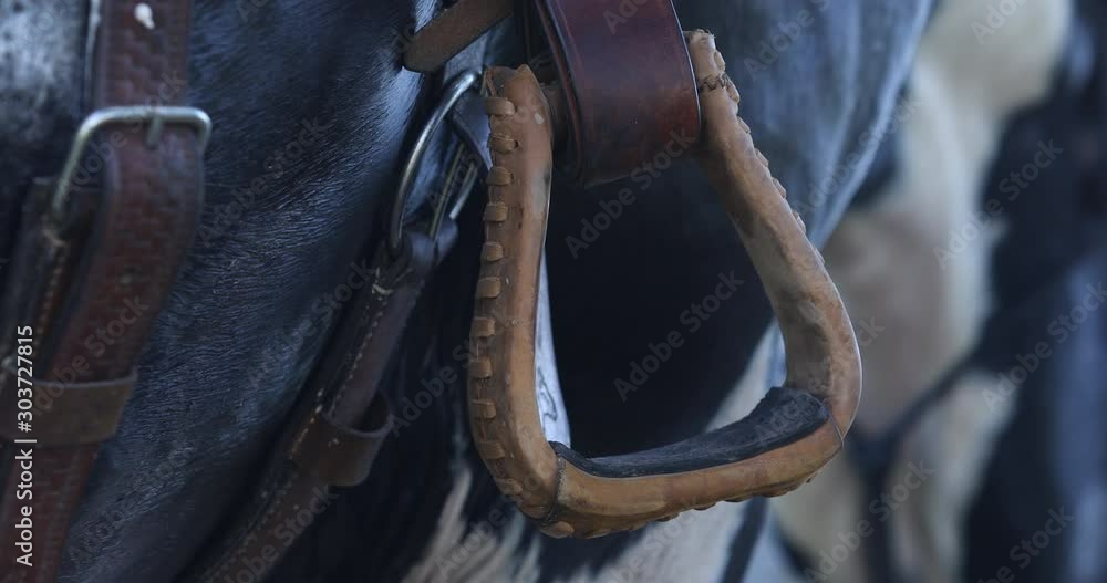 Horse stirrup,Horse Riding Stirrups,Saddle with stirrups, Closeup Horse stirrup,Horse Riding Stirrups,Saddle with stirrups, Closeup
