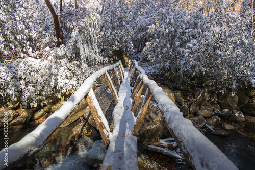 Snow on primitive wooden footbridge over stream at Greenbrier in Great Smoky Mountains National Park