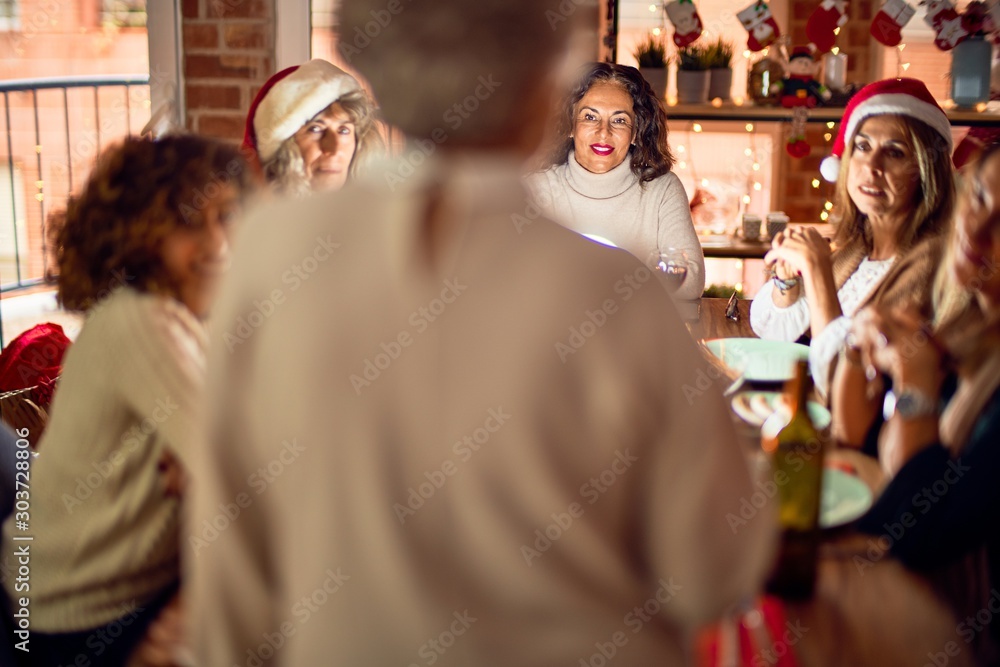 Obraz premium Beautiful group of women smiling happy and confident. On of them holding cup of wine speaking speech celebrating christmas at home