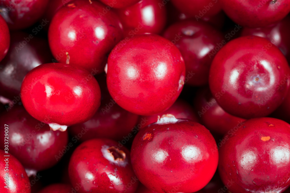 Background of fresh ripe cranberries. Top view. Macro photography. Background of fresh ripe cranberries. Top view. Macro photography.
