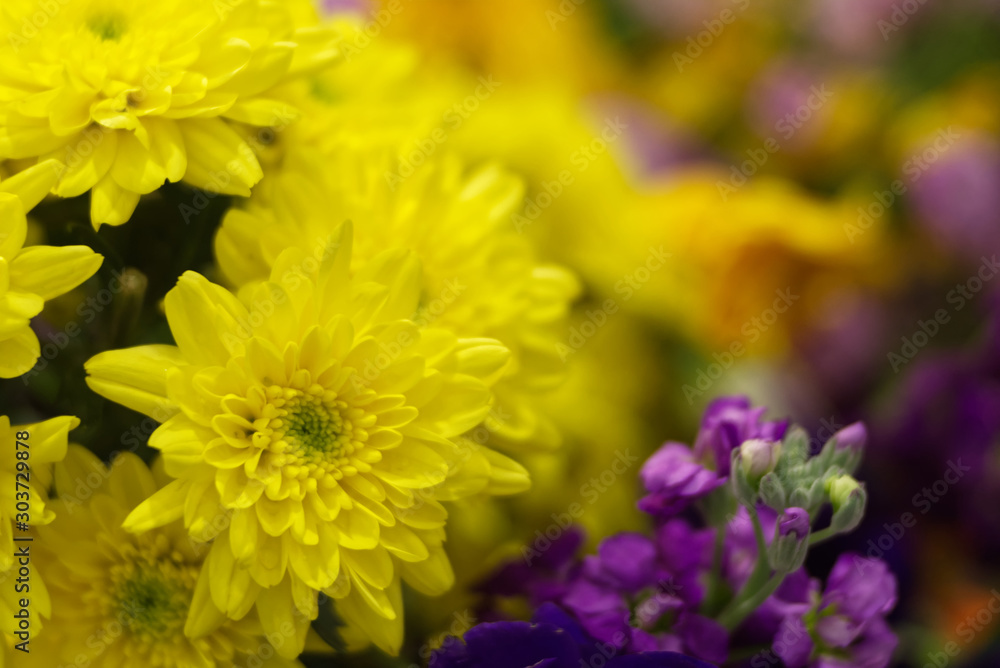 Yellow flower with colorful blur background