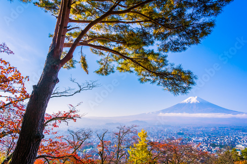 Obraz na płótnie Beautiful landscape of mountain fuji with chureito pagoda around maple leaf tree