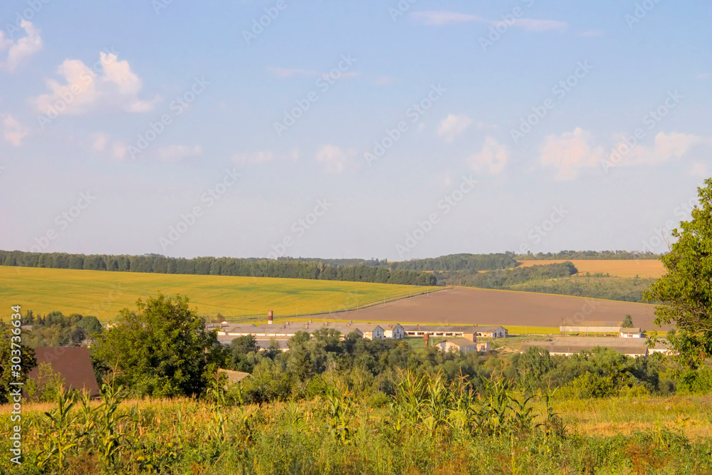 Summer landscape with fields a type of a svozvyshenost.