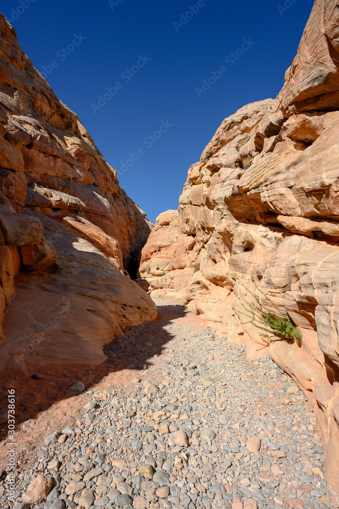 Cliffs Rise to Form Slot Canyon