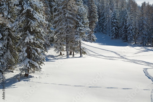 Snowy trees on a winter mountain snowcovered landscape, sunny weather, cross-country skiing and free-ride trails