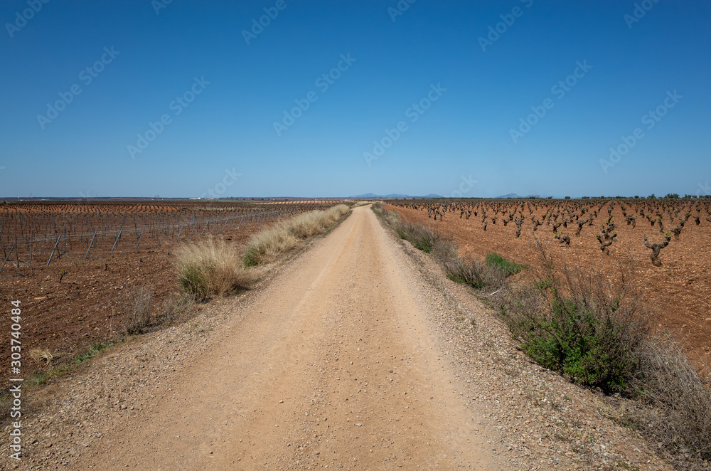Rural gravel road passing through dry Spanish countryside with vineyard on the right and agricultural field on the left , Andalusia, Spain, Europe, global warming concept, dry land, clear blue sky