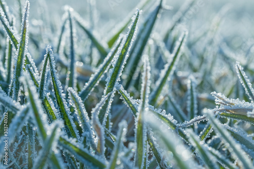 Close-up of a frosty meadow. The grass is covered with ice crystals. Concept: winter and weather © Rainer Fuhrmann