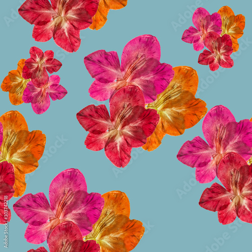 Gladiolus. Illustration, texture of flowers. Seamless pattern for continuous replicate. Floral background, photo collage for production of textile, cotton fabric.