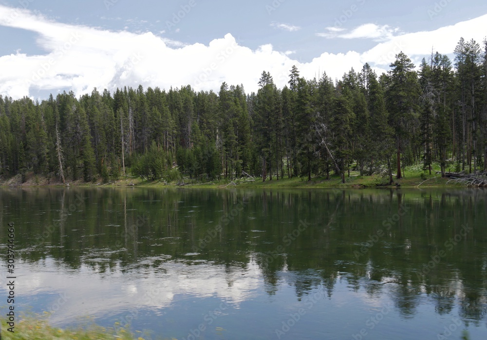 Yellowstone River bordered by tall green pine trees at Yellowstone National Park, Wyoming. Yellowstone River bordered by tall green pine trees at Yellowstone National Park, Wyoming.