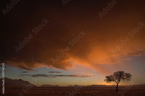 Sunset in the Namib Desert