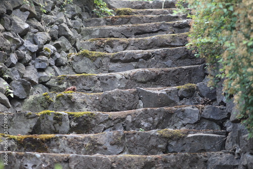 old stone stairs with moss