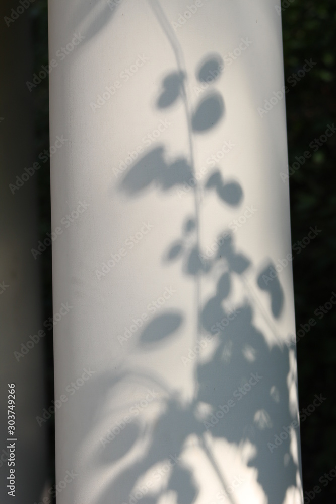 shadows over a white pillar 