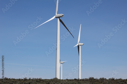 wind turbines in the field
