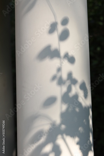 shadows over a white pillar 
