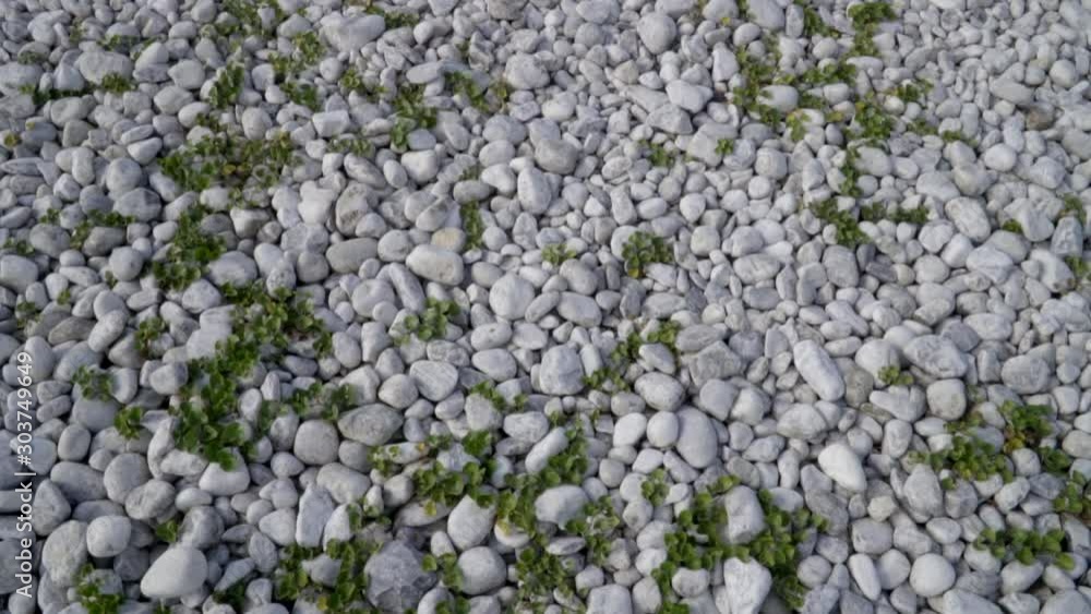 Panning slowly down over a white rocky landscape with some green plants poking through the rocks. Panning slowly down over a white rocky landscape with some green plants poking through the rocks.