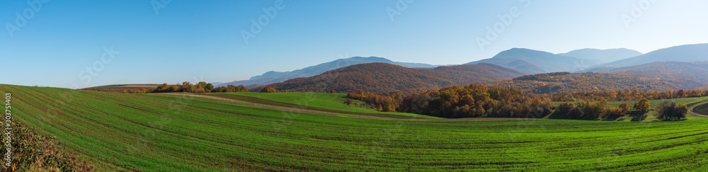 Wide panoramic view of the farm fields with green shoots