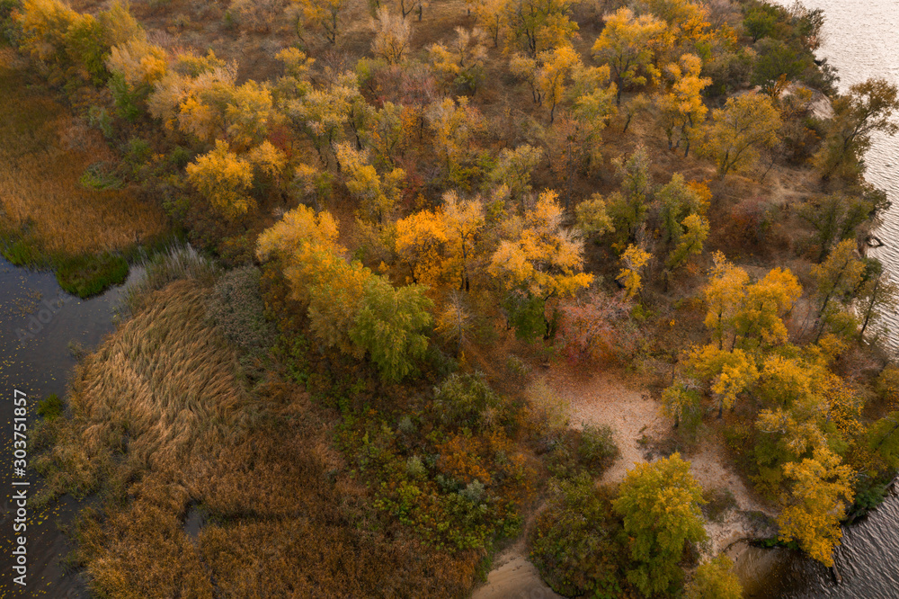Beautiful natural scenery of river with beautiful autumn trees aerial view drone shot