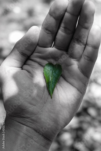 Heart symbol leaf on hand