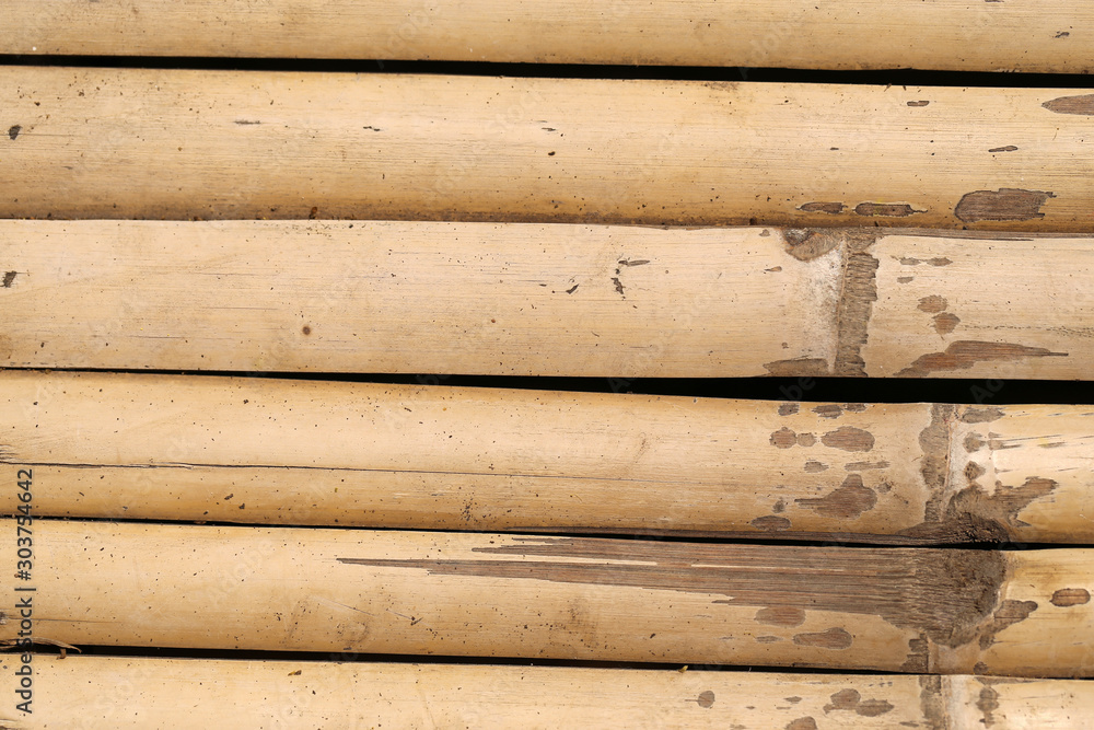 Obraz premium Bamboo texture background.
