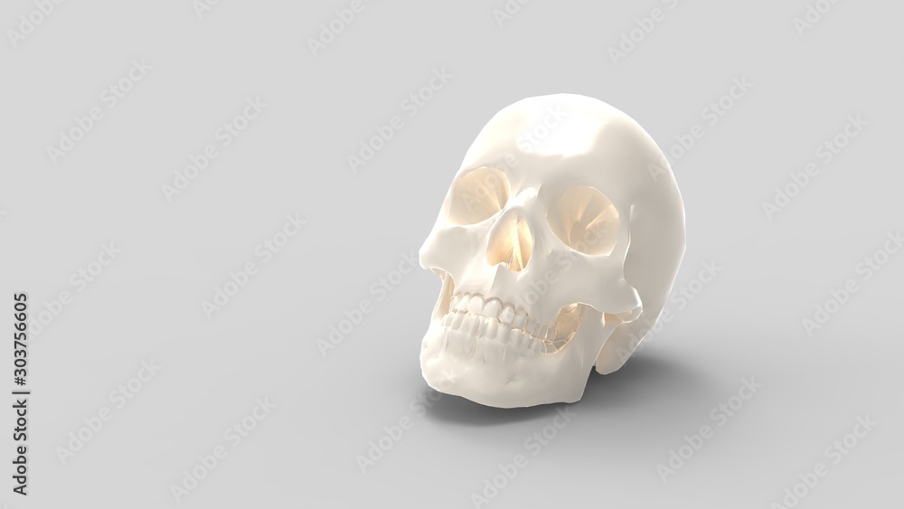 3d rendering of a human skull isolated in colored background 3d rendering of a human skull isolated in colored background