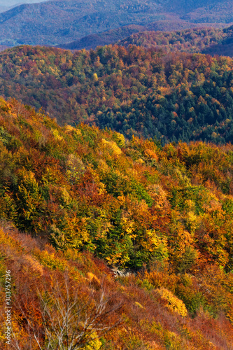 Autumn on Velebit mountain, Croatia