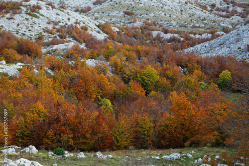 Fototapeta Naklejka Na Ścianę i Meble -  Autumn on Velebit mountain, Croatia