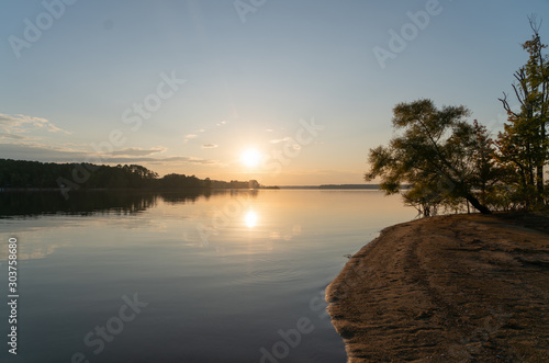 Tree on lake beach at sunrise 