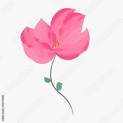 Beautiful pink flower with two leaves on a thin stem