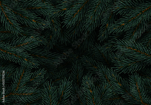 Christmas tree branches. Festive Xmas border of green branch of pine. Pattern pine branches  spruce branch. Realistic design decoration elements. Vector illustration