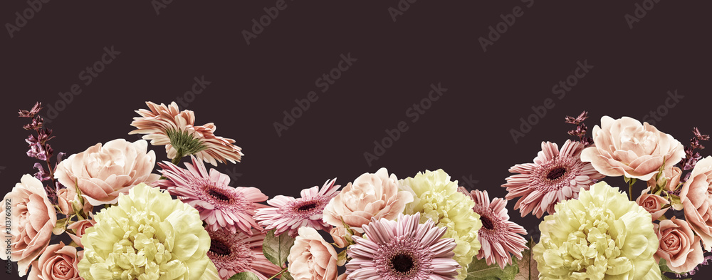 Fototapeta Baner kwiatowy, okładka lub nagłówek z bukietami vintage. Żółta piwonia, gerbera, różowe róże na białym tle na ciemnym tle.