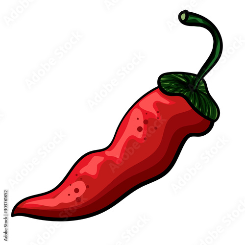 Red hot chili pepper. Isolated doodles. Vegetarian cuisine. Botanical illustration of chili pepper. - Vector