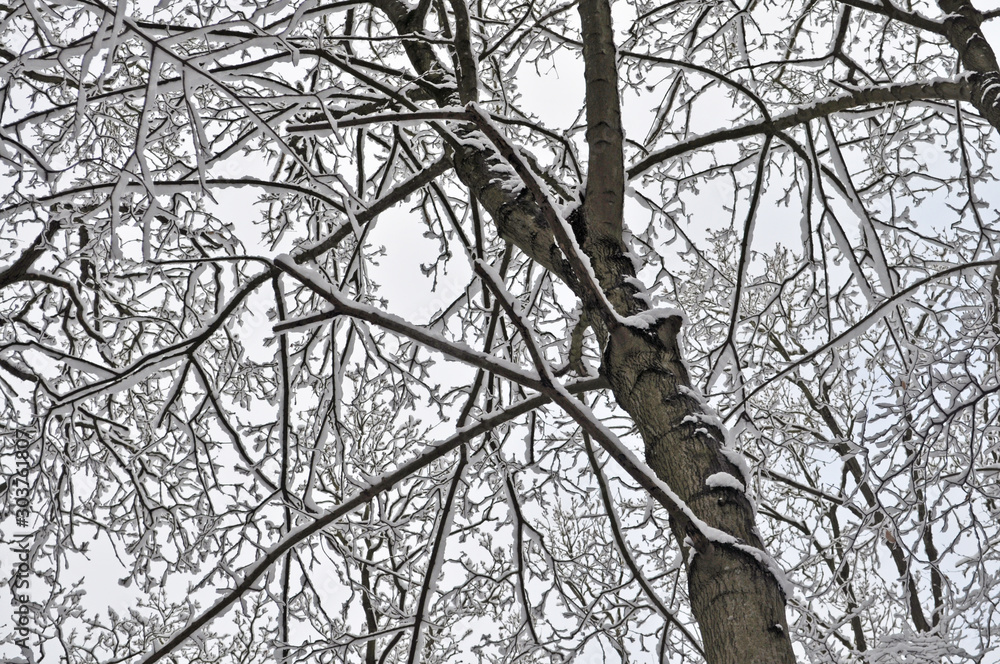 Obraz premium Winter in Gröhren auf Rügen
