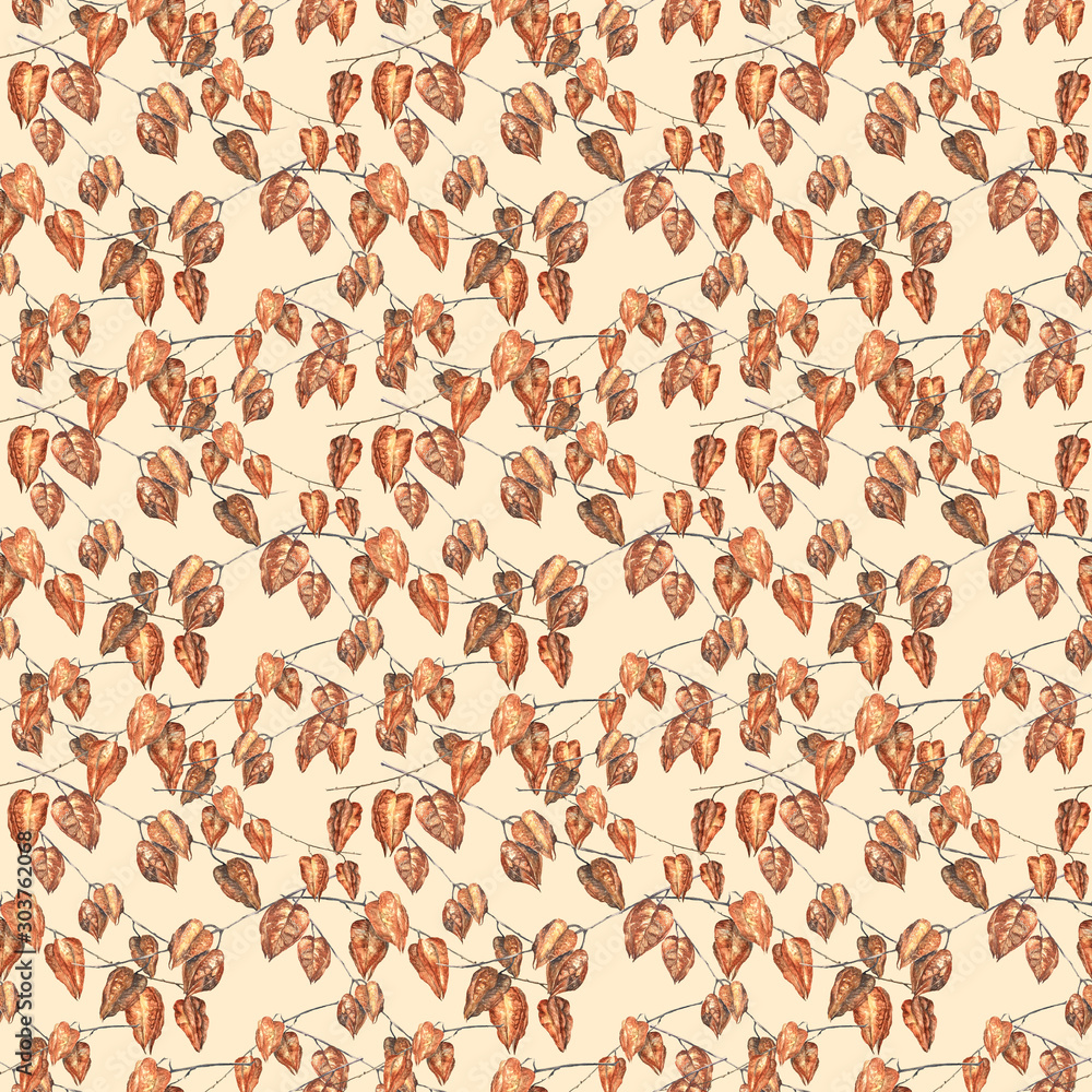Thick repeating pattern of the branches of a dried autumn Physalis Thick repeating pattern of the branches of a dried autumn Physalis